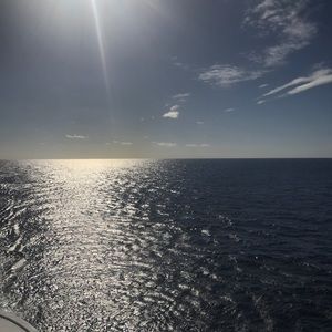 Meet your Posher, Alonzo